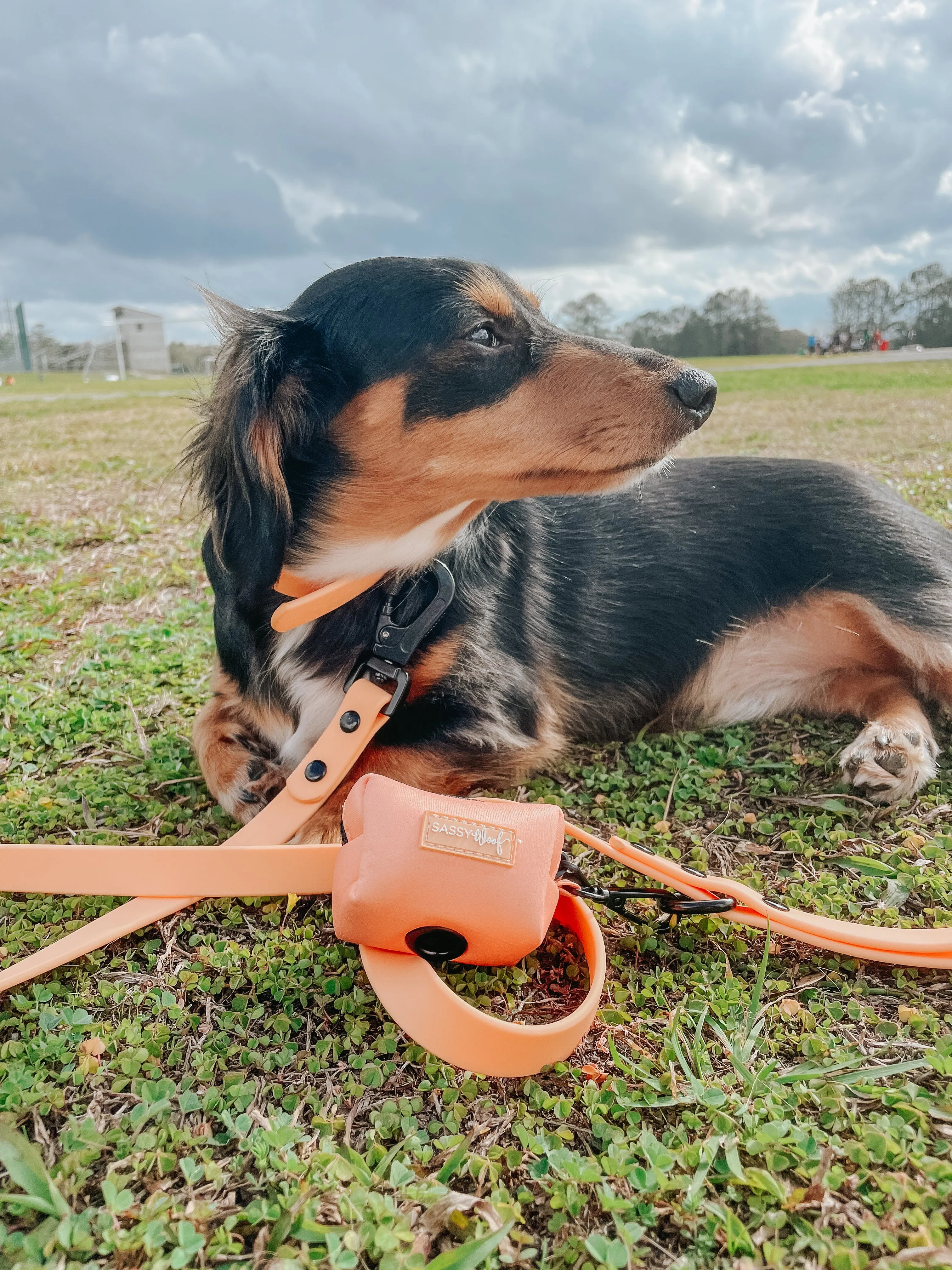 Dog Waste Bag Holder - Adventure Orange