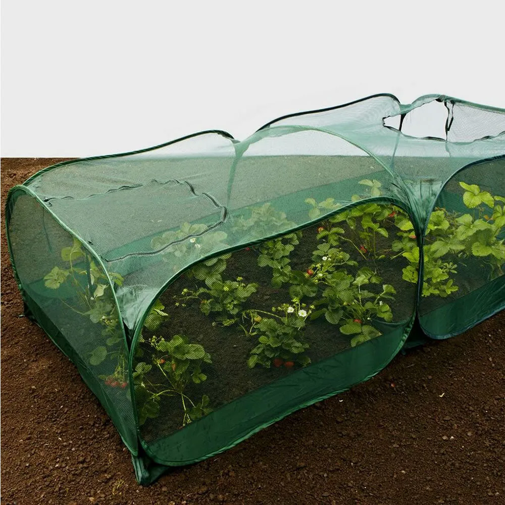 Giant Pop Up Fruit Cage & Plant Protection Cover