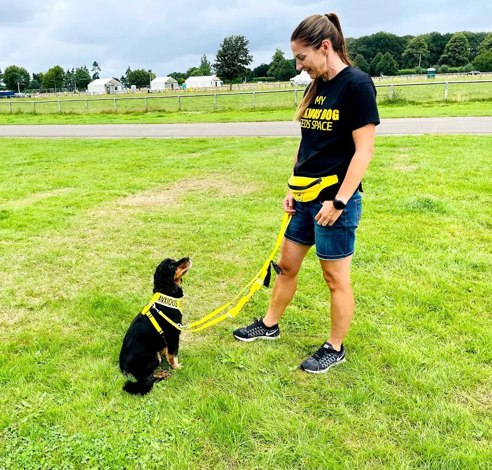 My Anxious Dog Yellow Treat Bag